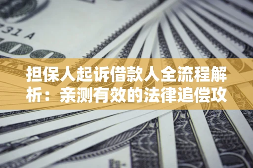 济南担保人起诉借款人全流程解析：亲测有效的法律追偿攻略