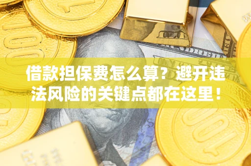 济南借款担保费怎么算？避开违法风险的关键点都在这里！