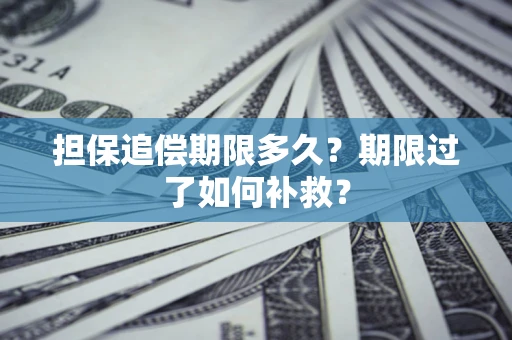 济南担保追偿期限多久？期限过了如何补救？