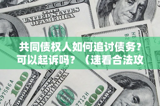 济南共同债权人如何追讨债务？可以起诉吗？（速看合法攻略）